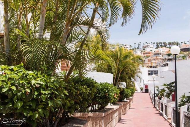 Apartament Malibu Blue Costa Adeje  Εξωτερικό φωτογραφία