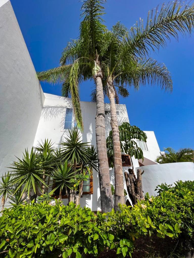 Apartament Malibu Blue Costa Adeje  Εξωτερικό φωτογραφία