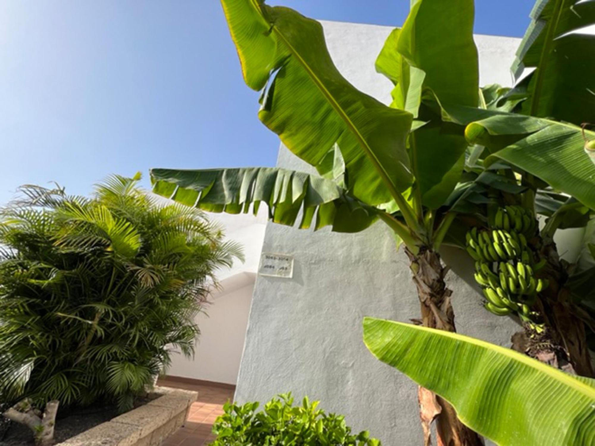 Apartament Malibu Blue Costa Adeje  Εξωτερικό φωτογραφία